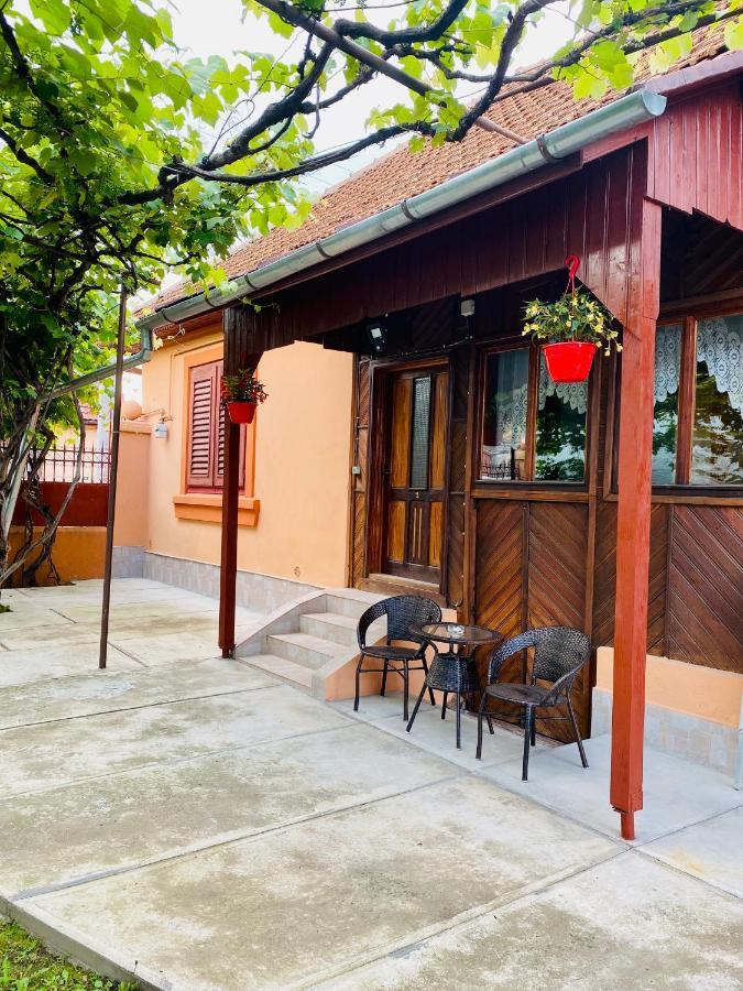 Hotel Casa Victoria Cîrţişoara Exteriér fotografie