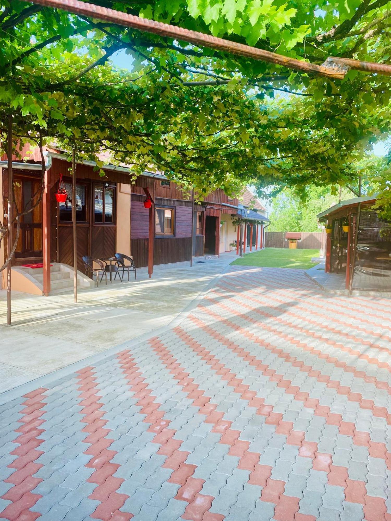 Hotel Casa Victoria Cîrţişoara Exteriér fotografie
